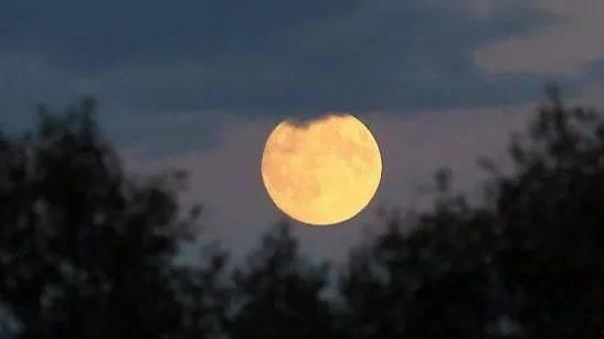 皎皎清月坠我怀,一场心灵的邂逅